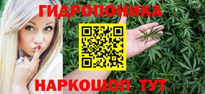 гашик Тулун