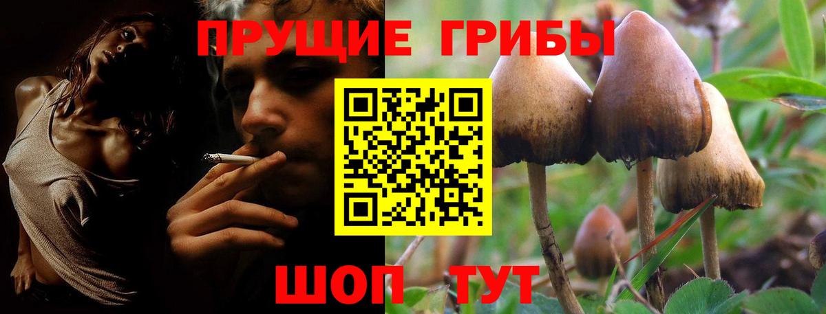 Галлюциногенные грибы ЛСД Ахтубинск