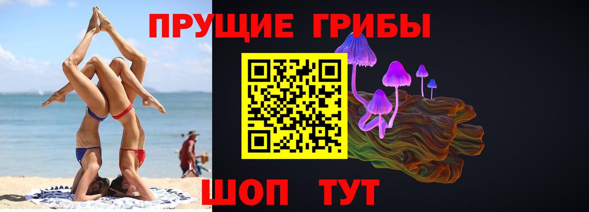 Ахтубинск  Псилоцибиновые грибы мухоморы  Вход с VPN 