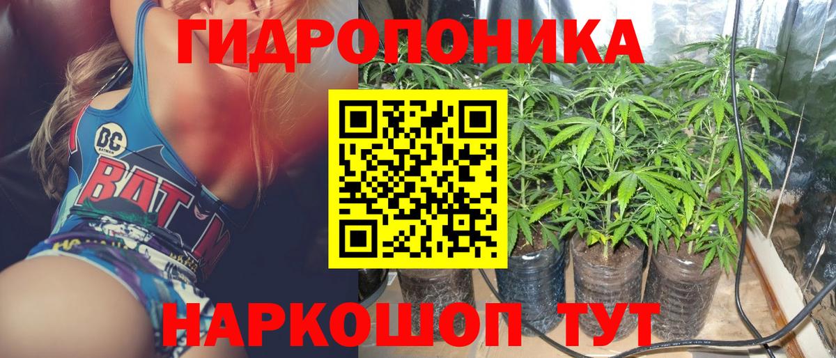 Канабис сатива Ахтубинск
